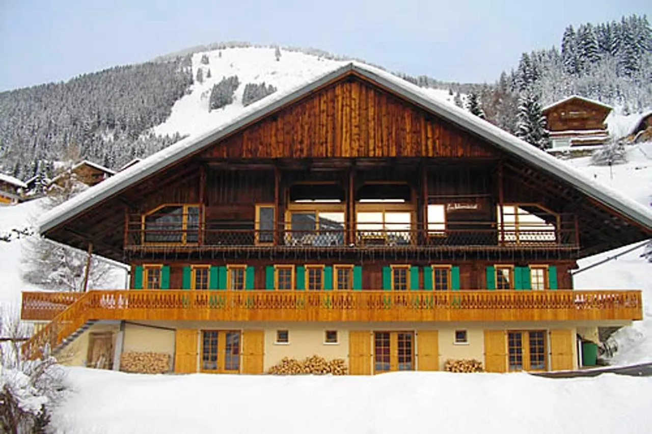 Apartment Appartement Spacieux A Chatel Avec Vue Sur La Montagne Et Terrasse Privee