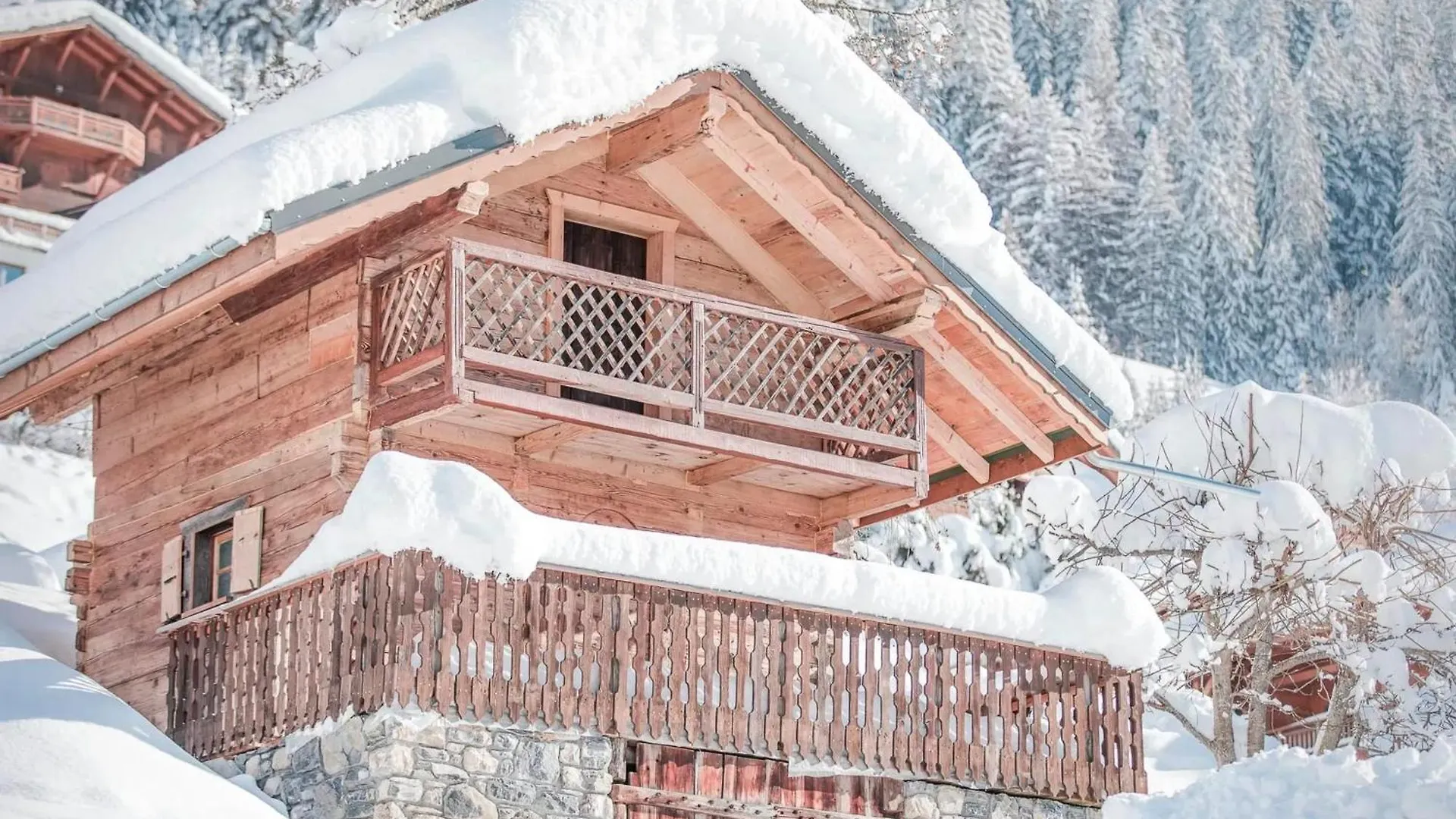 Appartement Spacieux A Chatel Avec Vue Sur La Montagne Et Terrasse Privee France